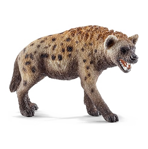 Hyena PNG HD