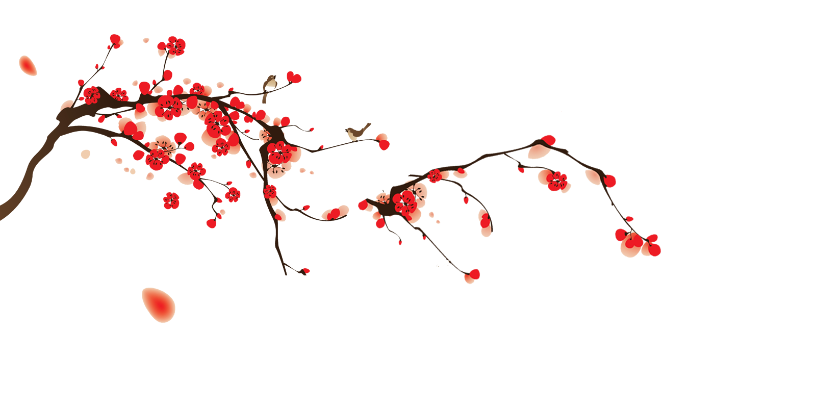 Floraison japonaise cerise Transparente images PNG