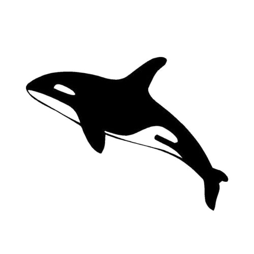 นักฆ่าปลาวาฬภาพโปร่งใส PNG