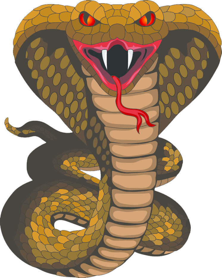 Rei Cobra PNG imagem