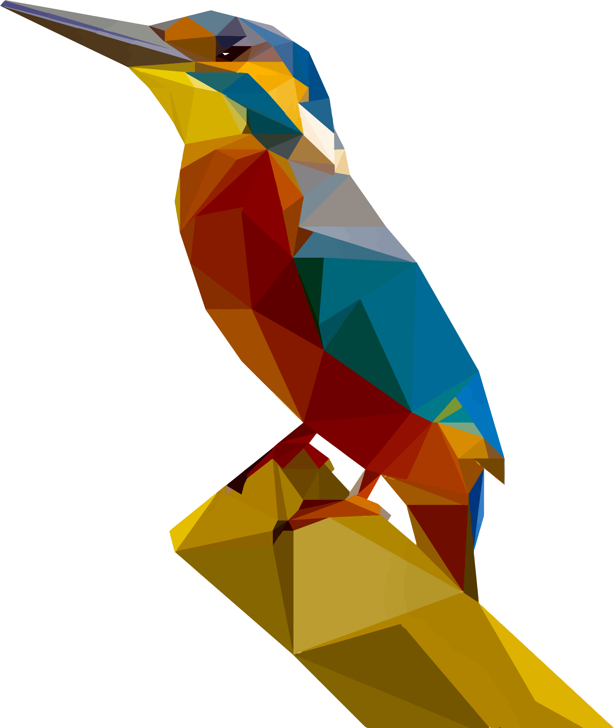 Kingfisher PNG Background Image