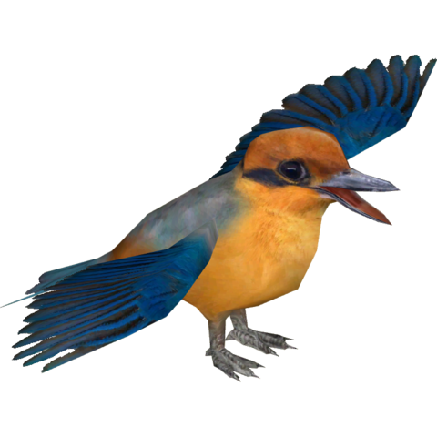 Kingfisher PNG Transparent Image