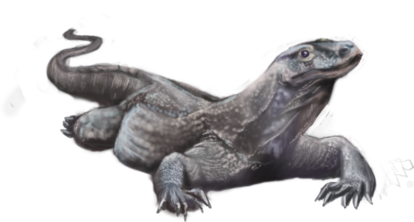 Komodo Dragon PNG pic
