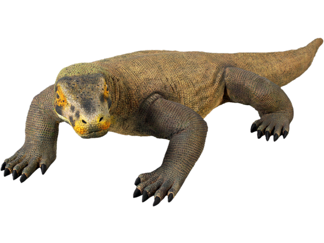 Komodo Dragon PNG Larawan