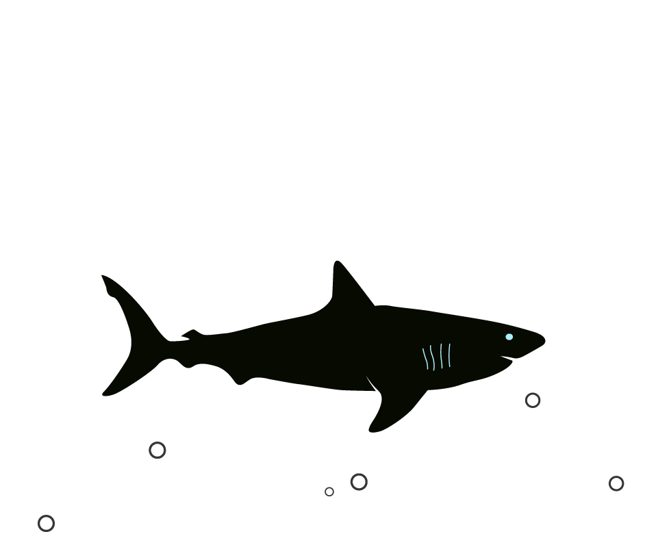 Megalodon PNG Picture