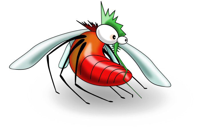 Mosquito PNG Pic