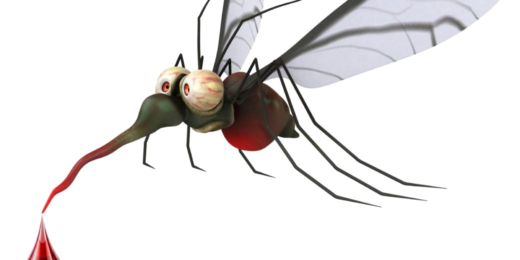 Mosquito PNG Transparent