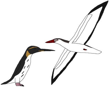 Ocean Birds PNG Picture