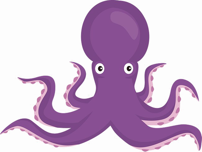Octopus PNG Transparent Image