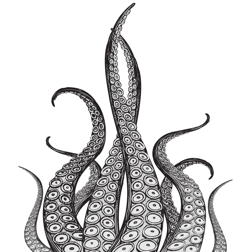 Polvo tentáculos PNG pic