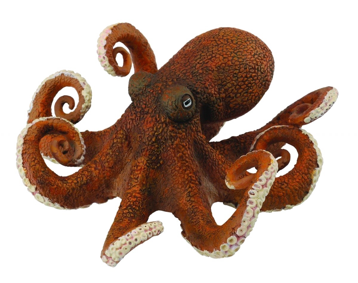 Octopus Toy PNG Photos