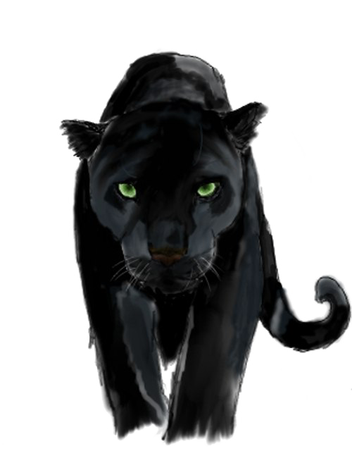 Panther PNG Background Image
