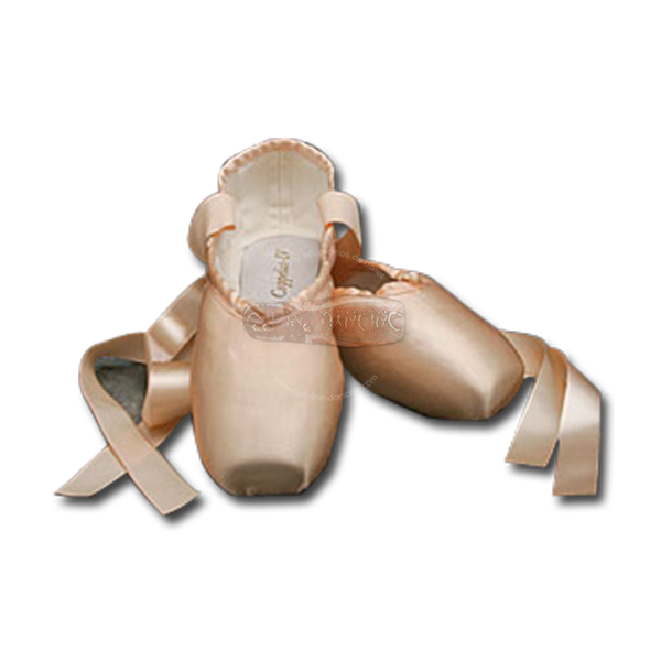 Pointe Shoes PNG Pic