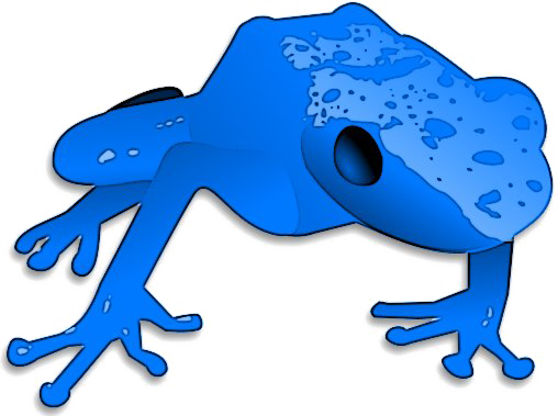 Poison Dart Frog PNG transparant