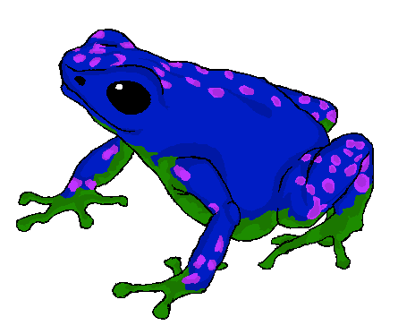 Poison Dart Frog Transparent Images PNG