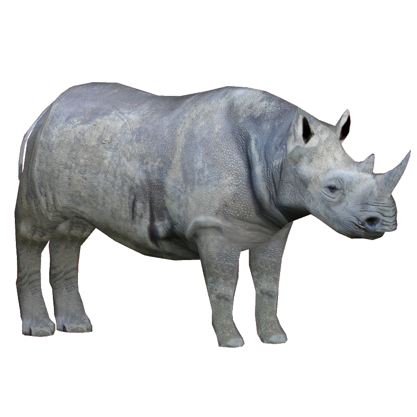 Rhino PNG Free Download