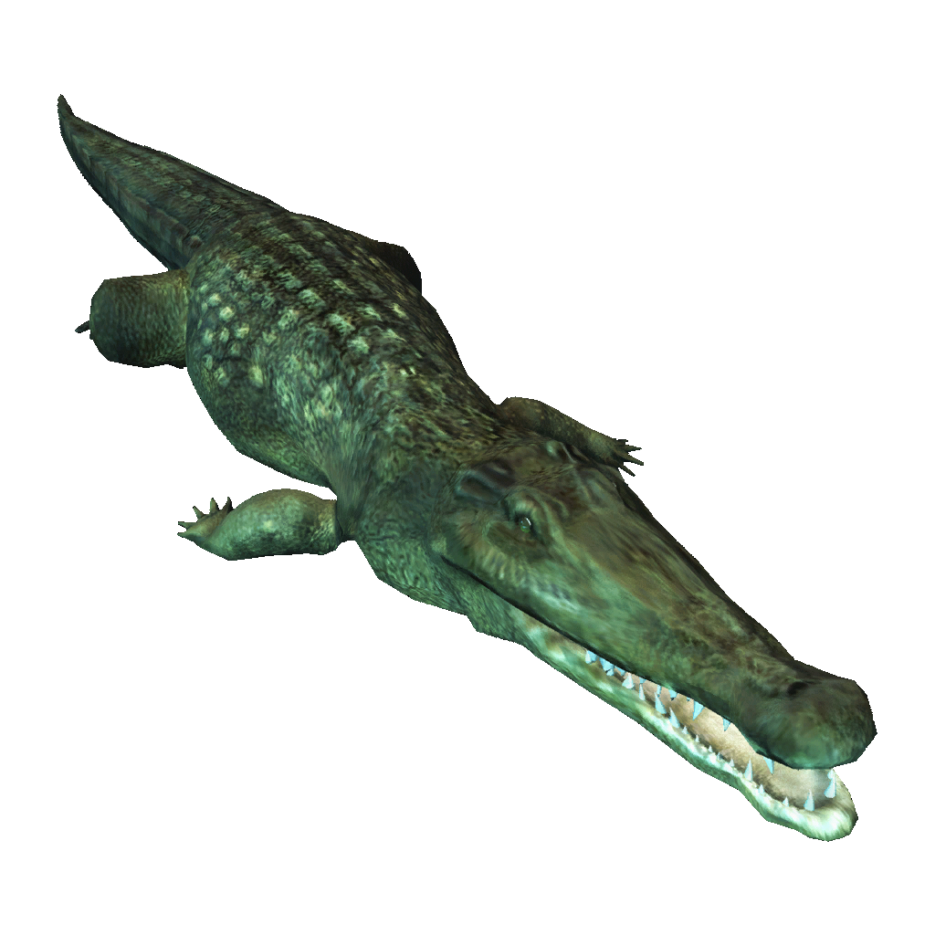 Immagine di PNG di coccodrillo di acqua salata