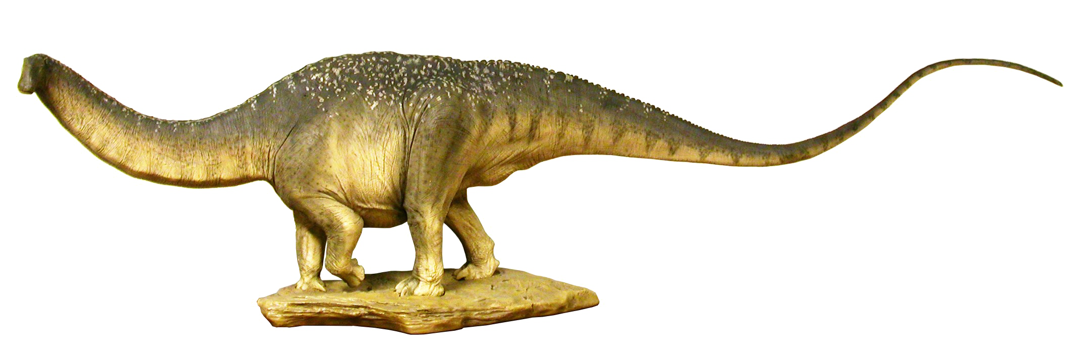 Sauropod PNG Clipart