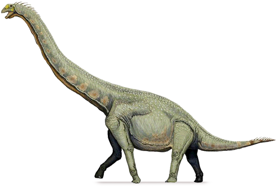 Sauropod PNG ดาวน์โหลดฟรี