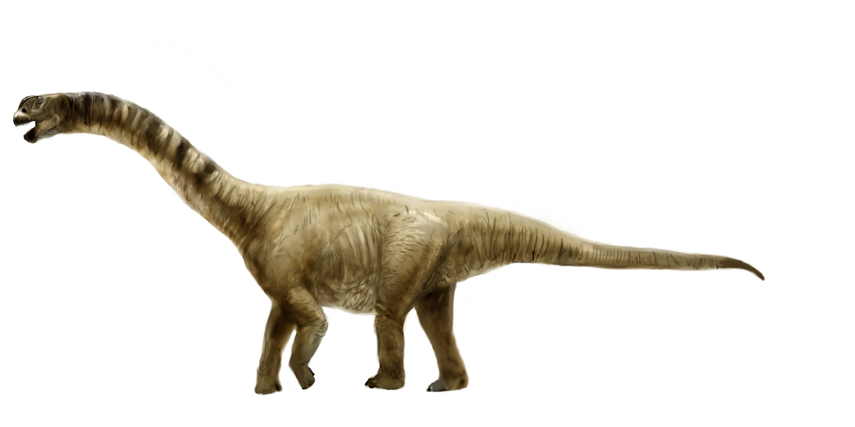 Foto sauropod PNG