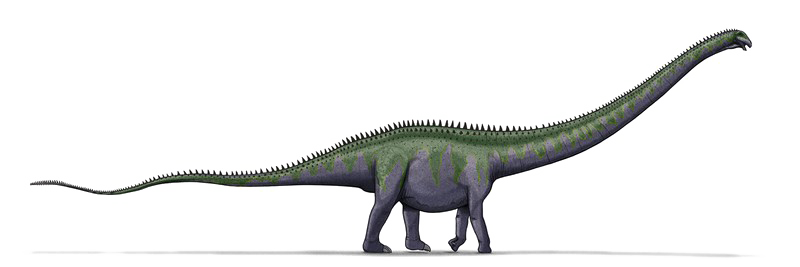 Sauropod ภาพโปร่งใส PNG