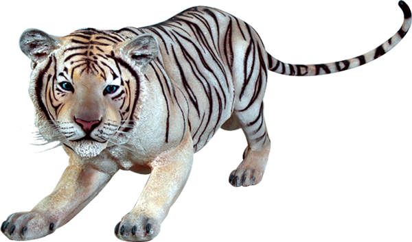 Siberian Tiger Transparent PNG