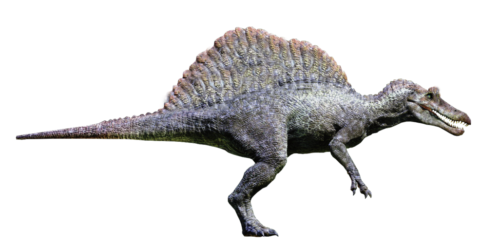 Spinosaurus transparente PNG