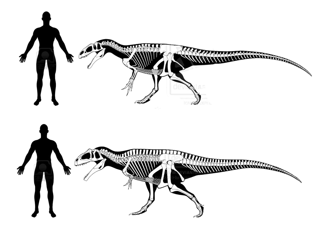 Theropod PNG Clipart