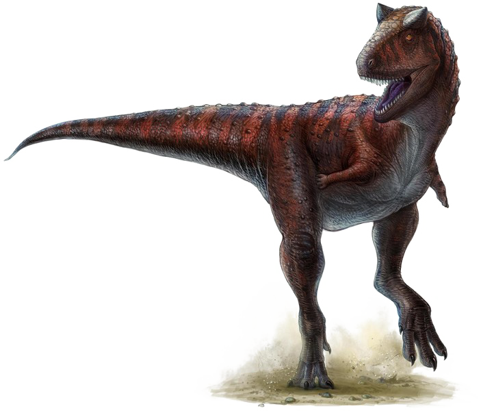 Theropod PNG Görüntüsü