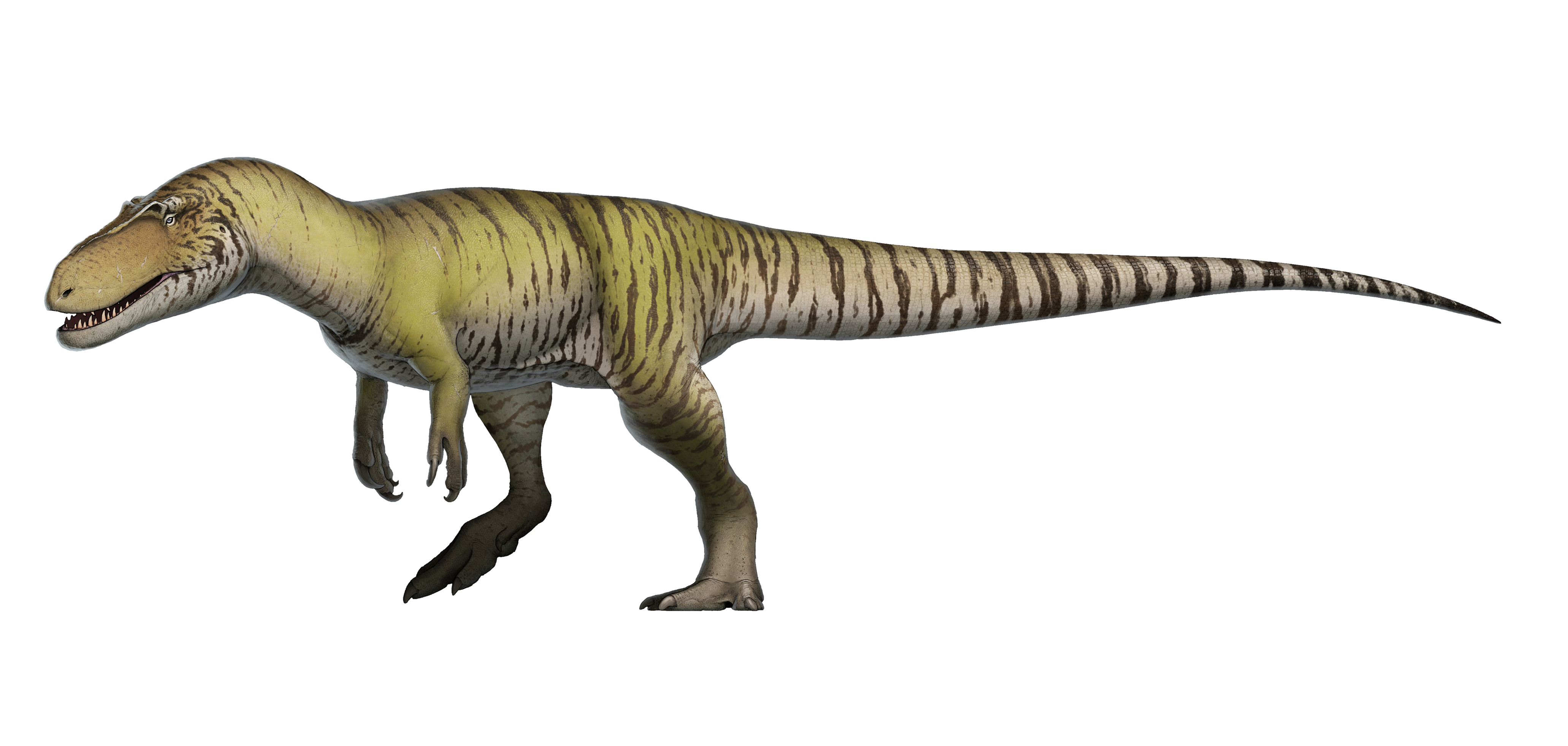 Theropod PNG transparente