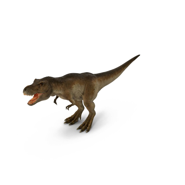 Theropod Şeffaf Görüntüler PNG