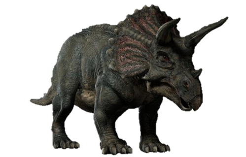Triceratop PNG Görüntüsü