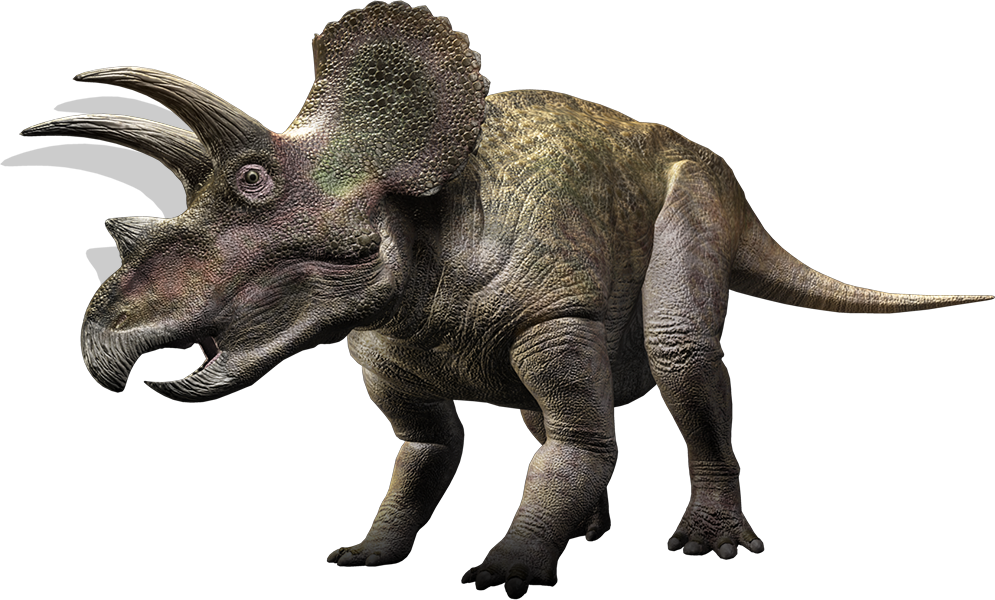 Triceratop PNG transparente
