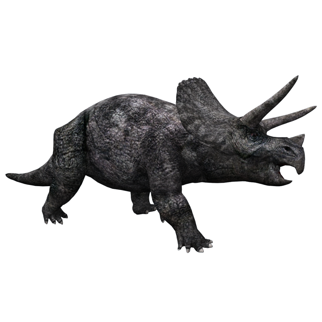 Triceratop transparente PNG