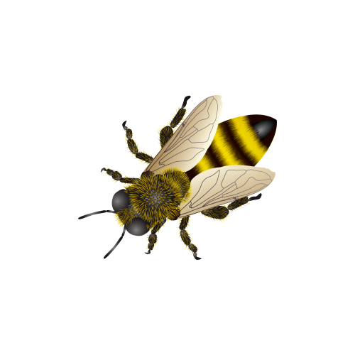 Bee PNG Libreng Download