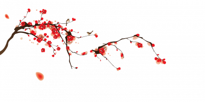 Blossom PNG HD Photo