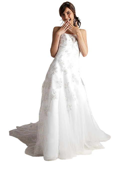 Bride PNG Pic Background