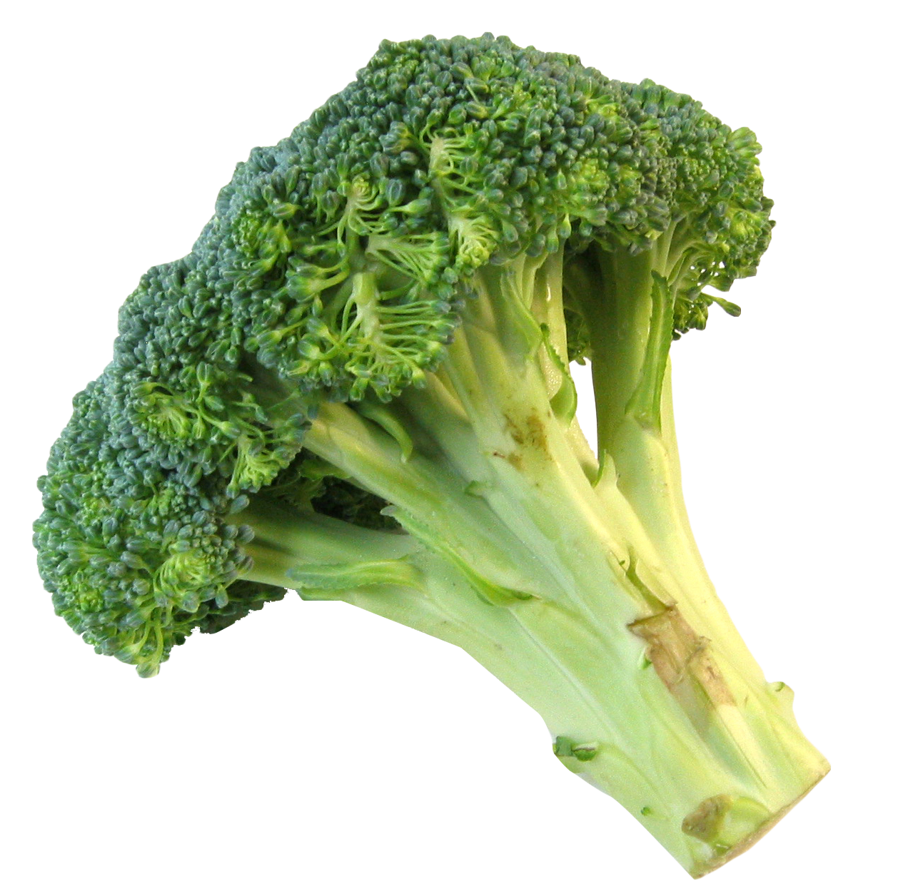 Broccoli PNG Background