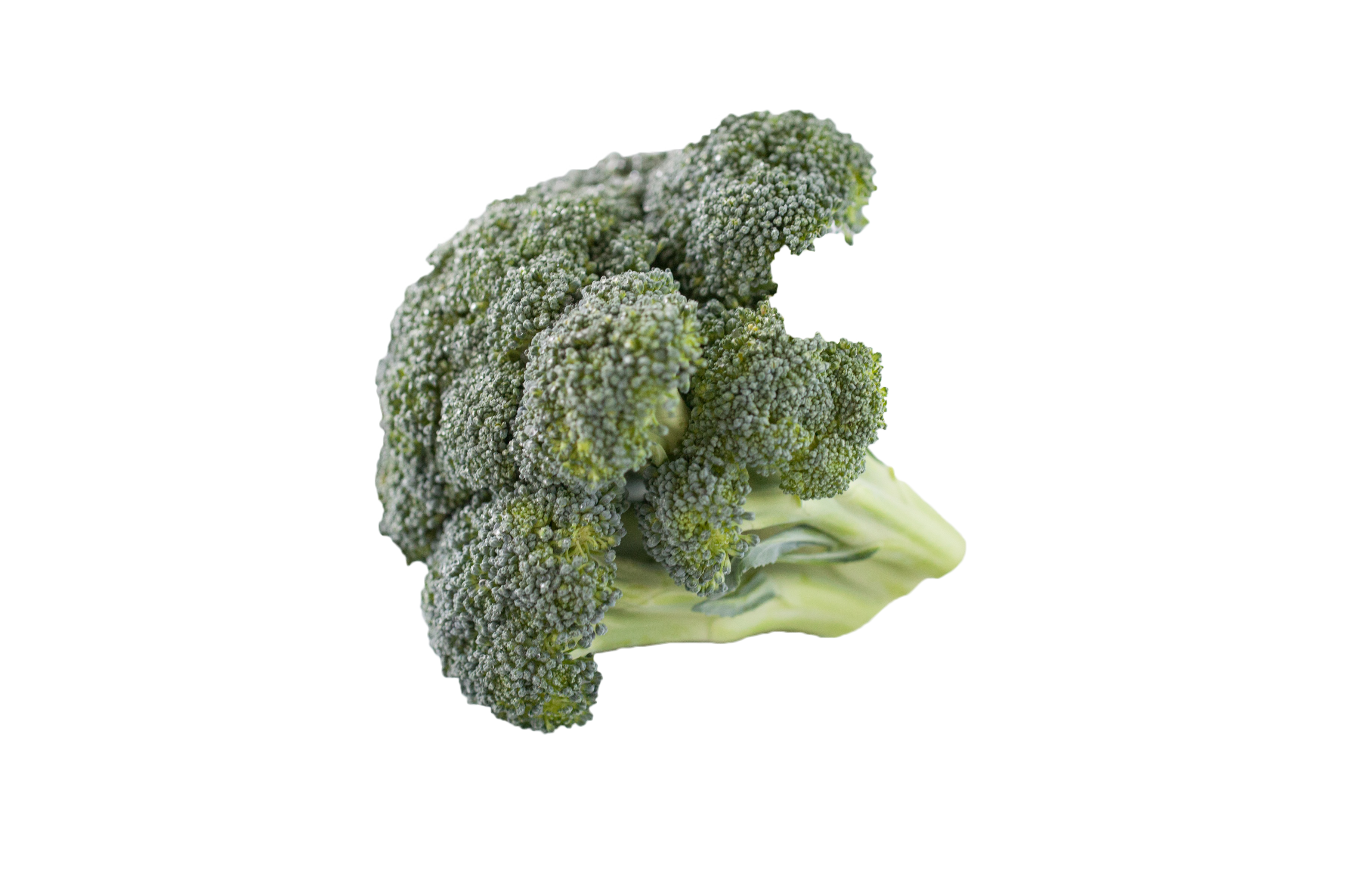 Broccoli PNG File libre
