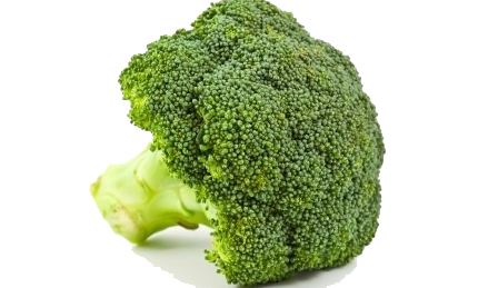 Broccoli PNG transparenter Hintergrund