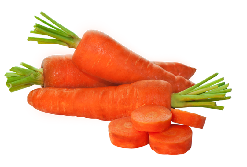 Carrot PNG HD
