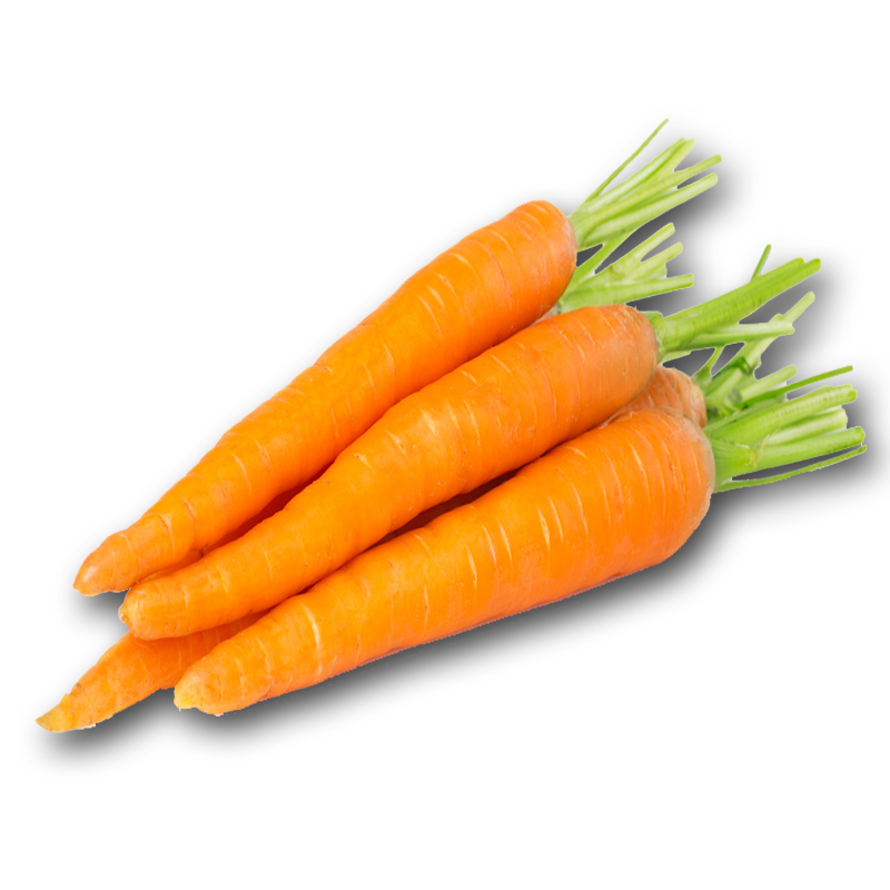 CARROT PNG PIC