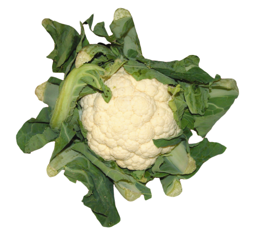 Cauliflower PNG Transparent Image