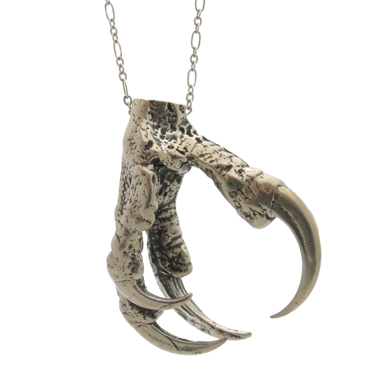 Claw Transparent Background