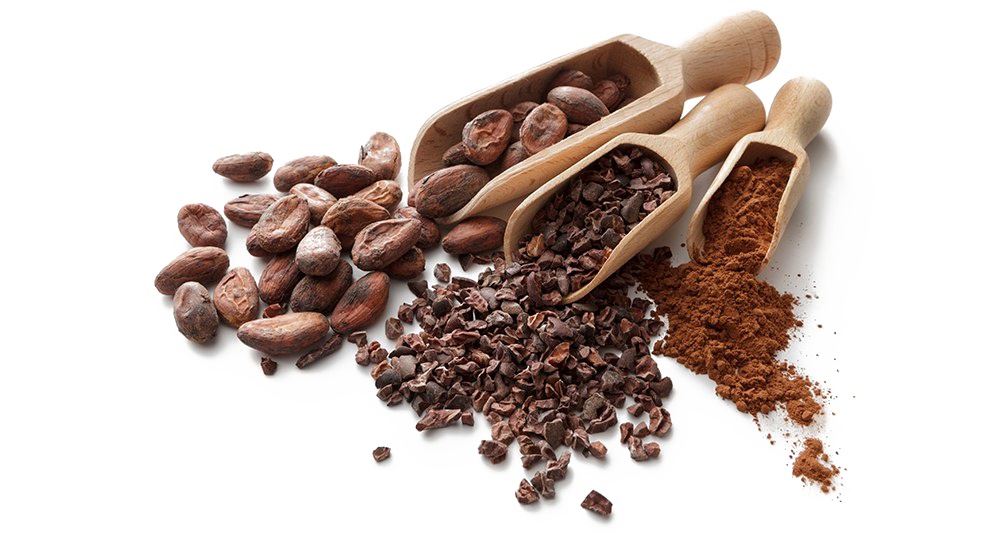 Cocoa Beans PNG HD