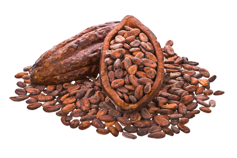 Cocoa Beans PNG Image
