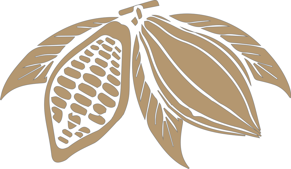 Cocoa Beans PNG Transparent Image