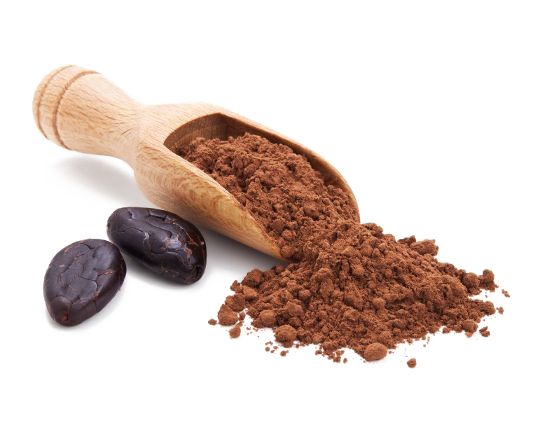 Cocoa Beans Transparent Background