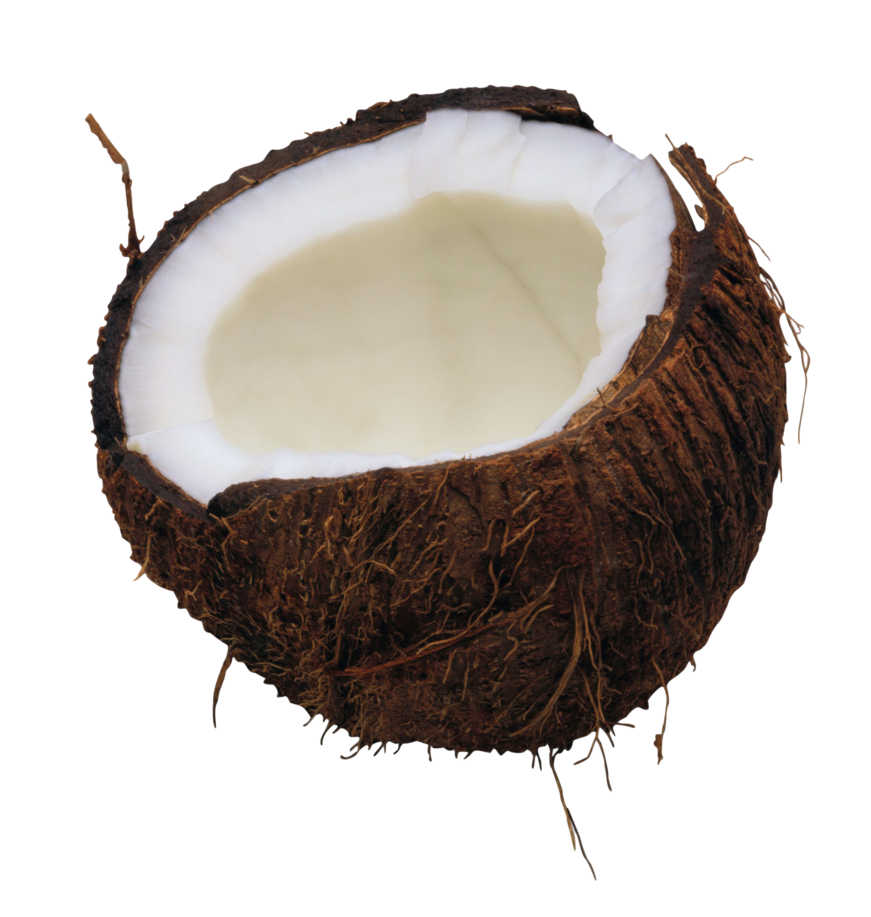 Coconut PNG Download Image
