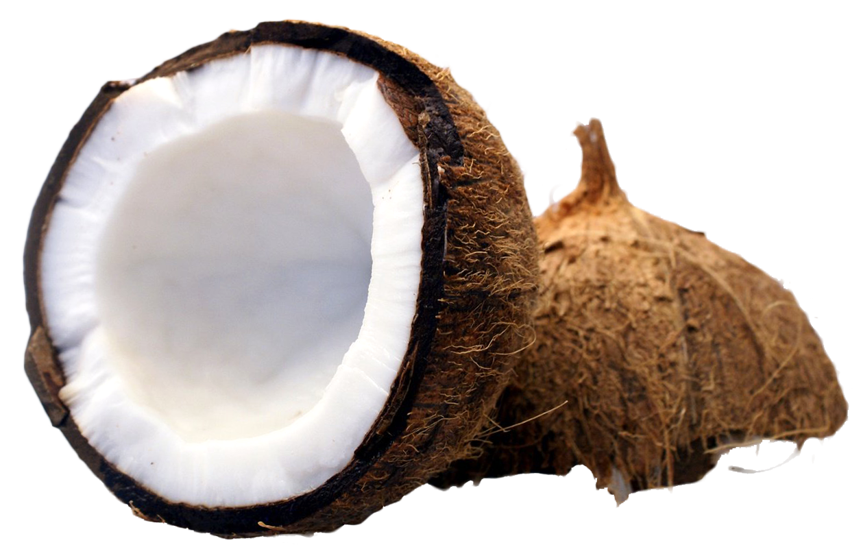 Coconut PNG Free Image